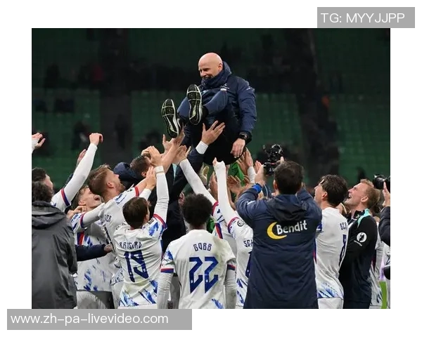 挪威与塞尔维亚足球阵容分析及比赛前瞻全面解读